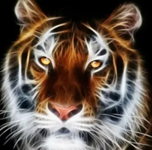 tigermis Avatar